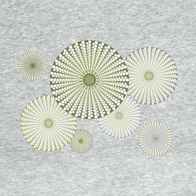 Sea Urchin | Kina | Abstract | Patterns in Nature | Sea Shells | Seashells | Sage Green | by Eclectic At Heart